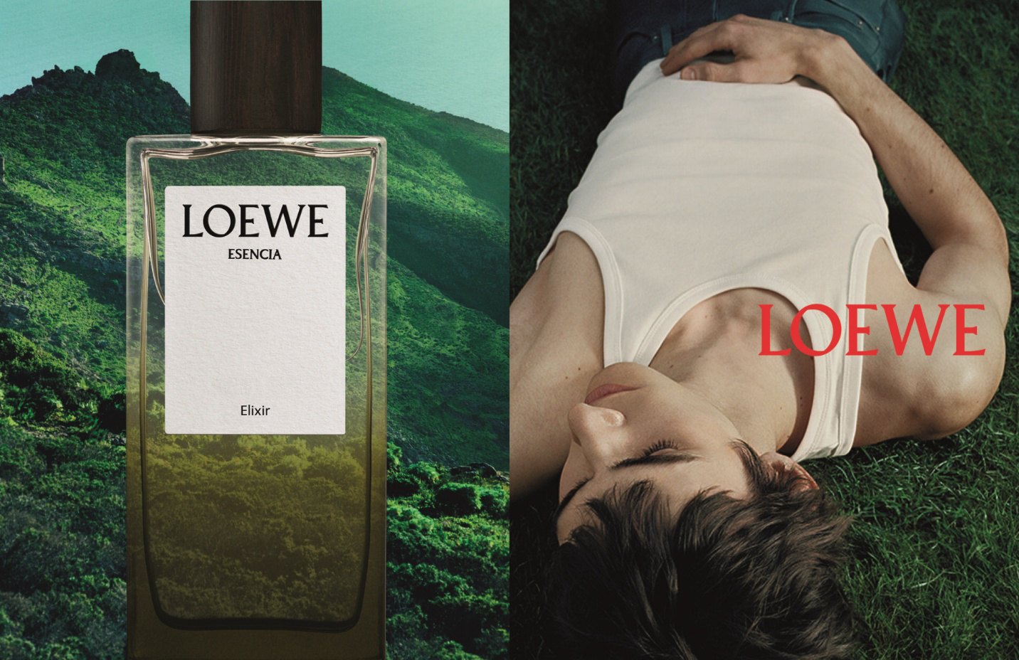 Cùng ngắm nhìn chiến dịch quảng bá nước hoa LOEWE đầu tiên của Jack McCollough và Lazaro Hernandez Cùng ngắm nhìn chiến dịch quảng bá nước hoa LOEWE đầu tiên của Jack McCollough và Lazaro Hernandez