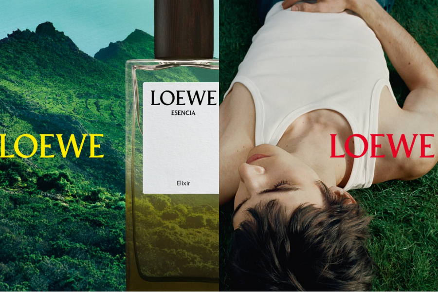 LOEWE Perfumes: Những “sắc xanh” dành riêng cho người cha hiện đại LOEWE Perfumes: Những “sắc xanh” dành riêng cho người cha hiện đại